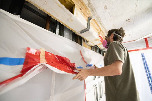 Best Black Mold Removal  in Enterprise, UT
