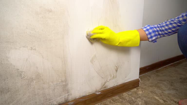 Best Mold Remediation for Healthcare Facilities  in Enterprise, UT