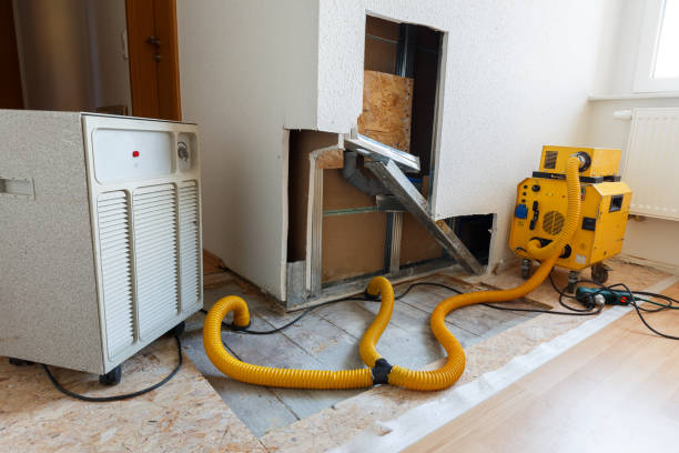 Best Mold Damage Restoration  in Enterprise, UT