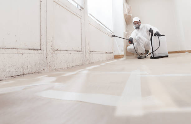 Forensic Mold Investigation in Enterprise, UT